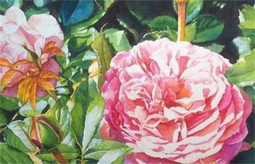 农历三月廿五是否符合动土吉日? 今日建筑房屋好吗 农历三月廿五是否符合动土吉日? 今日建筑房屋好吗