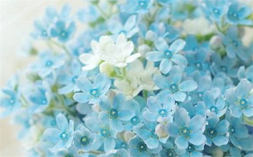 2026年04月29日这日子领证旺不旺? 登记结婚吉日指南 2026年04月29日这日子领证旺不旺? 登记结婚吉日指南