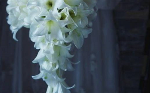 农历冬月十九领证合不合适? 今日登记领证好吗 农历冬月十九领证合不合适? 今日登记领证好吗