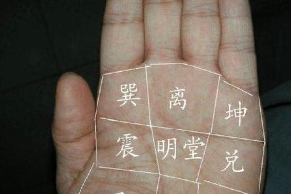指纹手相解析：从指纹看性格与命运的奥秘