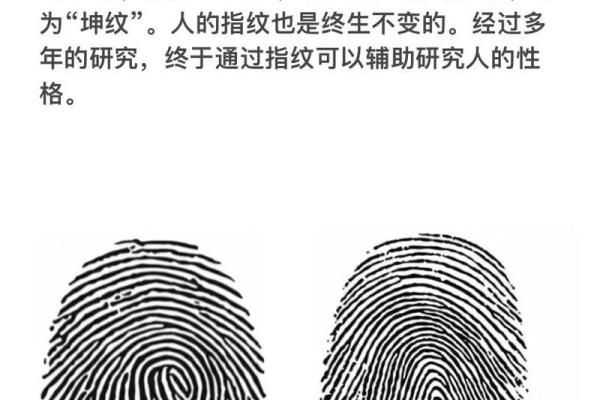 指纹手相解析：从指纹看性格与命运的奥秘