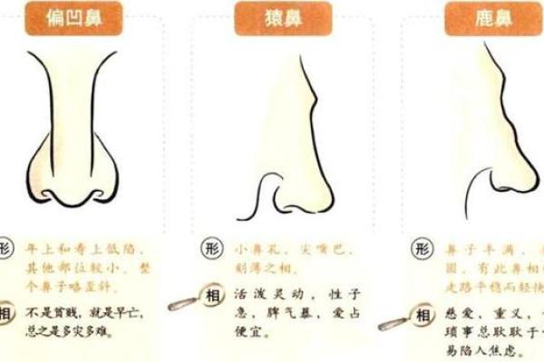 鼻子山根低的面相解析与命运影响