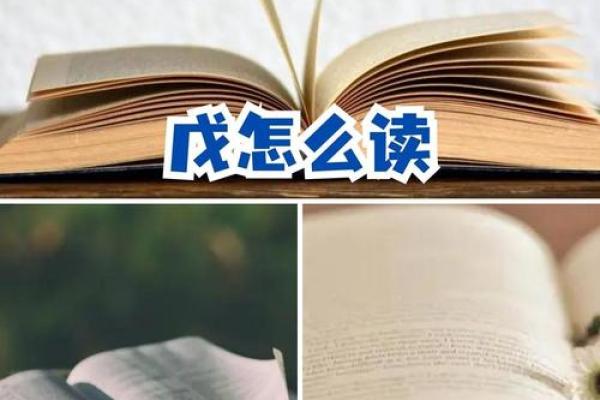 文化读音解析：正确发音背后的深层含义