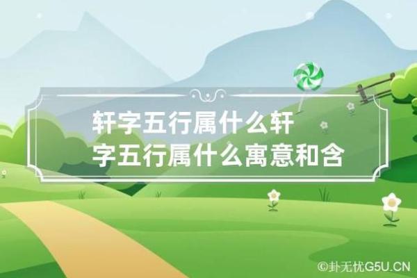 城字的五行属性解析及其影响