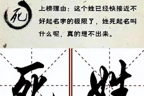 掌握免费公司取名器，打造独一无二品牌名