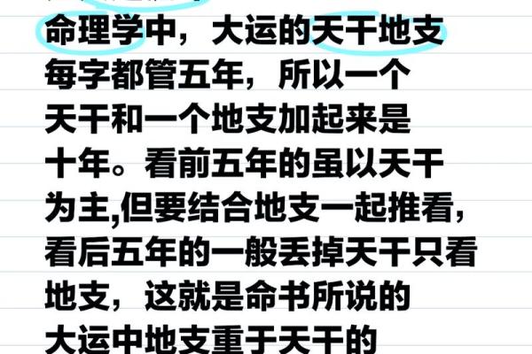 地支解读与分析：如何正确看待地支在命理中的作用