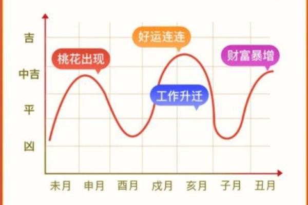 麦玲玲教你家居风水布局技巧