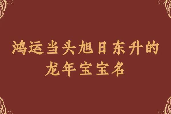 龙宝宝命名宝典：打造专属于小龙的名字气质