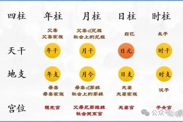 深入了解四柱八字中的十神与命运走向