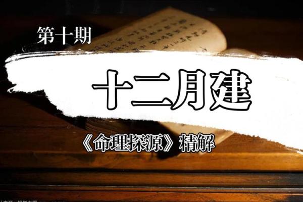 八字真踪精解：深入解析命理中的天机与运势规律