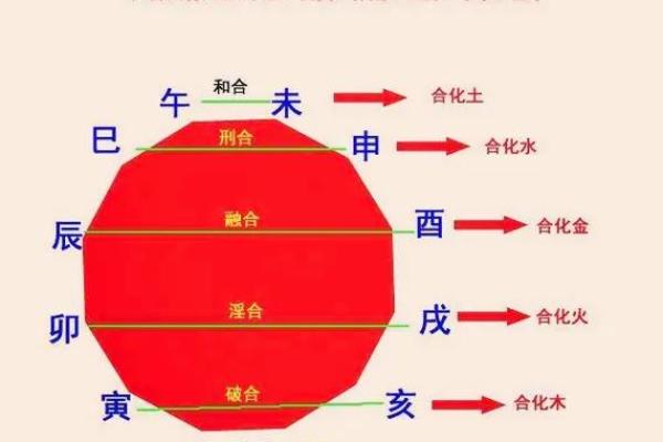 从十二生肖看十二地支的命理影响