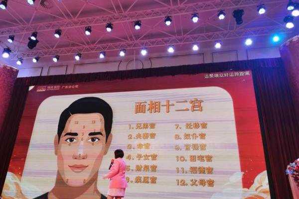家居风水大师麦玲玲的布局建议与注意事项