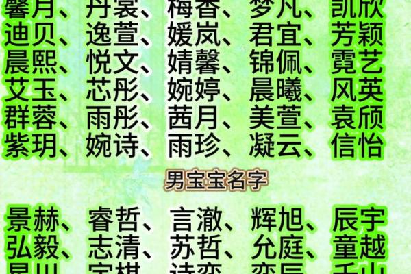 新生儿名字大全：帮你挑选最适合宝宝的名字