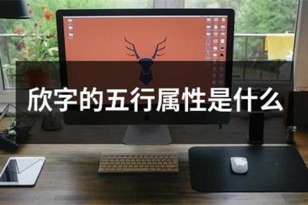 杭字的五行属性解析及其相关文化意义