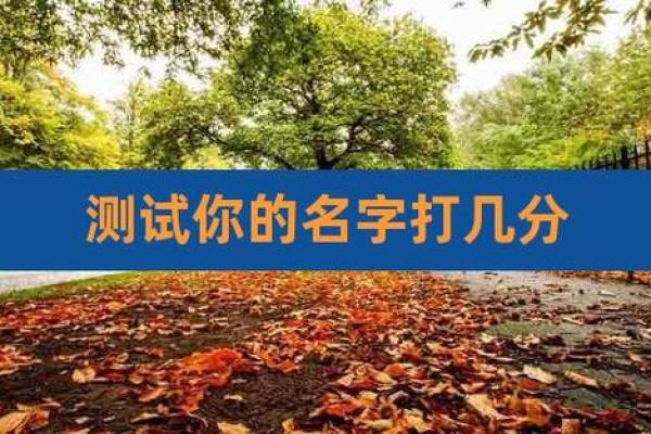 名字打分免费测试：了解你的名字是否合适