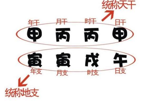 从命理学角度解读婚姻中的相合与相克