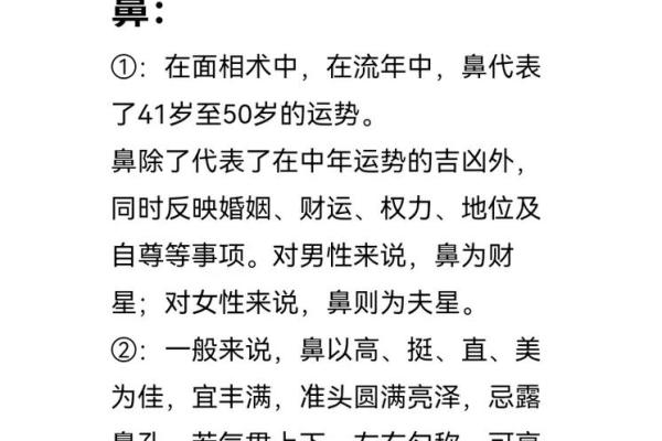 鼻子大的面相解析与运势影响