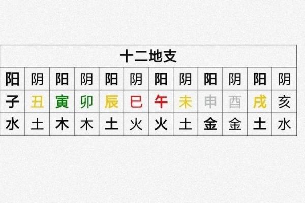 八字天干地支解析技巧与应用方法