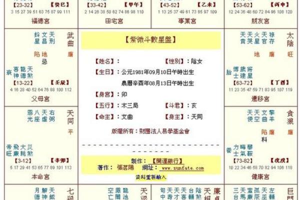 八字财运解析：如何通过八字看财运走向与财富趋势