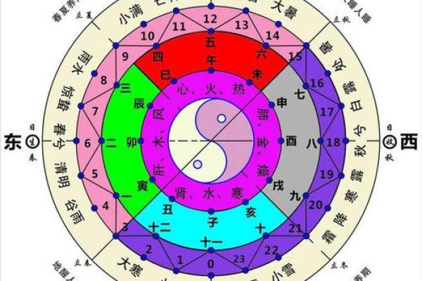 地支五行阴阳理论解析与应用探讨