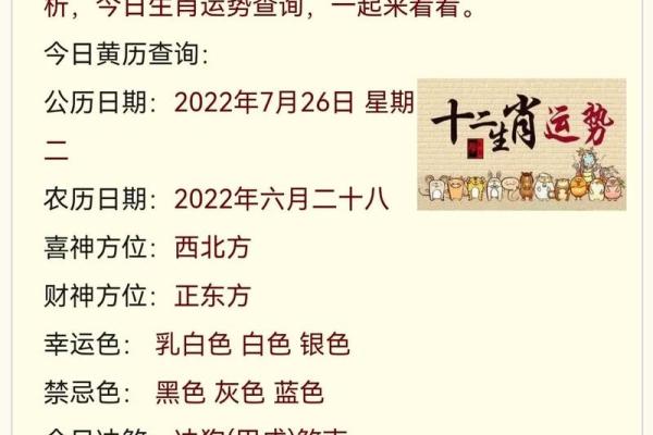 解锁非常运势网，获取全年运势全方位解析