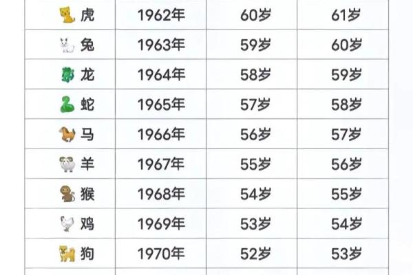 今日生肖运势解析：十二生肖运势全揭秘