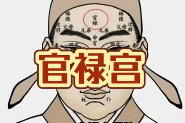 从面相看官运：如何通过面部特征预测官位