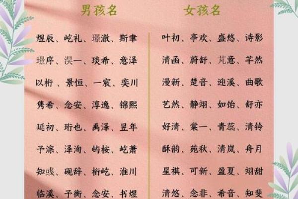 吴姓男孩取名参考：名字背后的寓意与象征