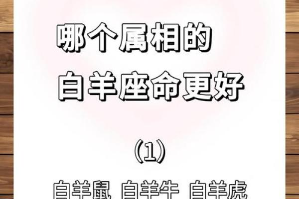 白羊座今日运势揭秘：感情与工作双重考验