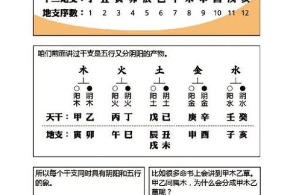 免费八字命理分析，揭示你的人生命运轨迹