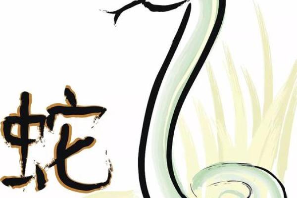 风水大师解析：家居风水布局的黄金法则