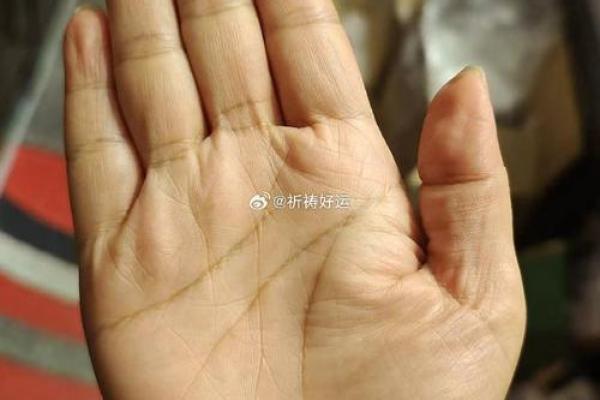 元宝手相中的财富密码与人生轨迹