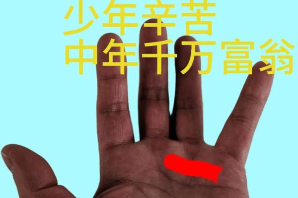 元宝手相中的财富密码与人生轨迹