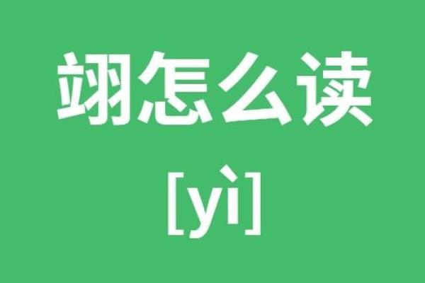 翊字在名字中的寓意与象征意义解析