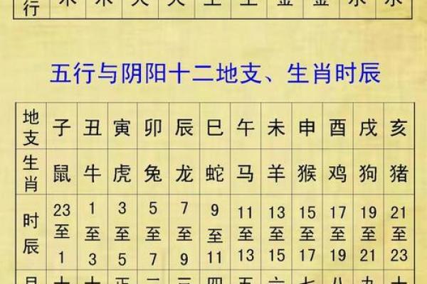 蛇年宝宝命名大全：五行八字与生肖特点的完美结合