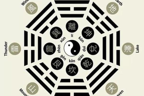 陈五行属性解析与命理影响分析 陈五行属性解析与命理影响分析