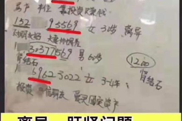 杜字的五行属性解析及其对命运的影响