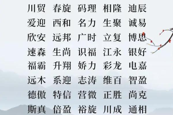 创意与可记性：如何为公司起个既专业又容易传播的名字