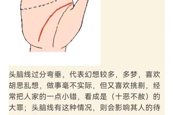 手相分析视频：如何用手掌预测人生大事