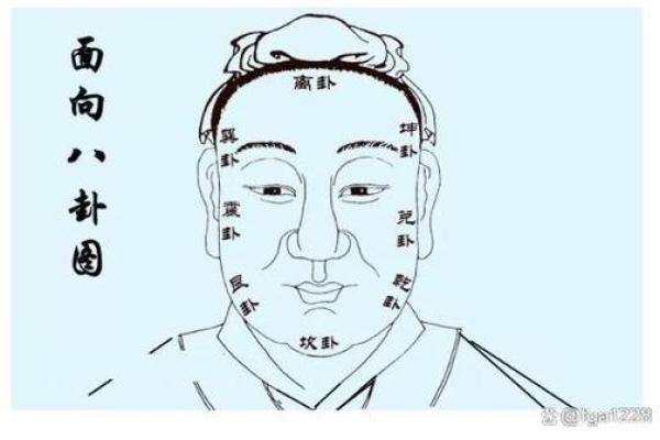 鼻子在面相中的地位与财富运势分析