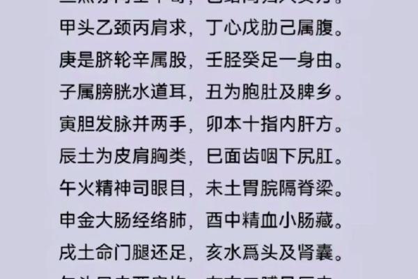 大运天干地支的奥秘与命理分析解析