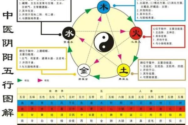 珵字五行属性解析及其命理影响