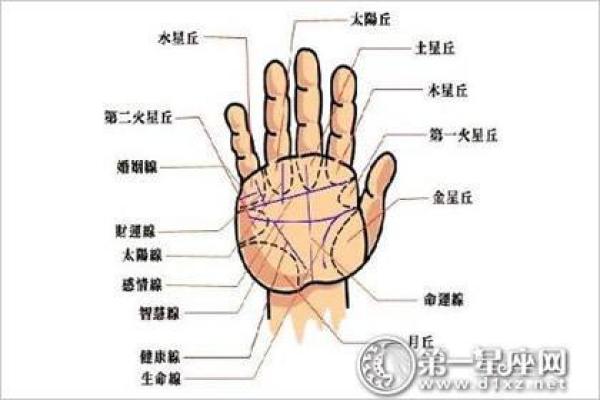 如何通过调整风水改善爱情运势