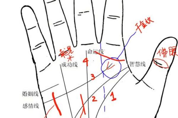 男人手相图解：解读掌纹背后的性格特征与人生轨迹