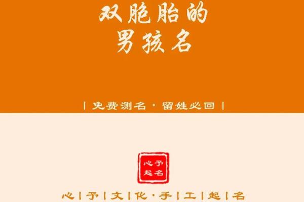 如何为双胞胎宝宝取一个独特又有意义的名字