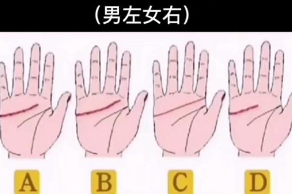 感情线揭示你的爱情命运与性格特征