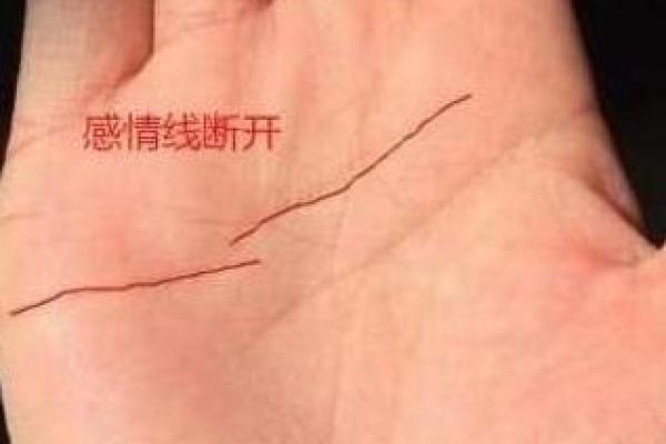 夫妻手相解析：揭示婚姻中隐藏的秘密与和谐之道