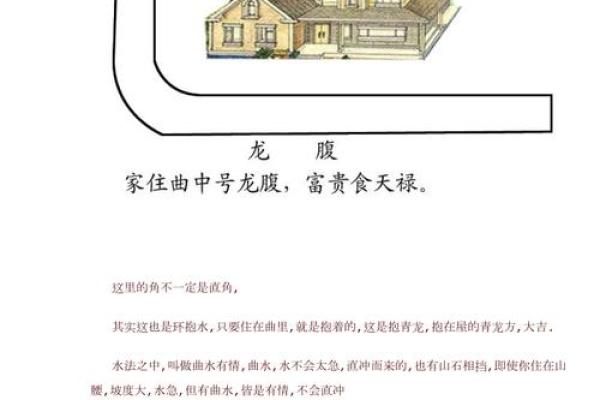 阳宅风水自学秘籍：从布局到装饰的全方位指导
