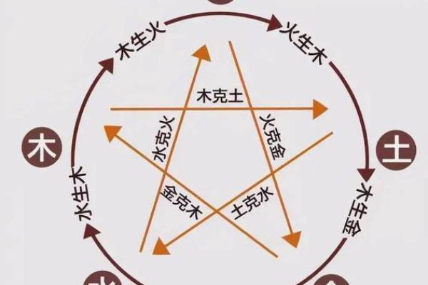 地支循藏与五行理论的深度解析与应用