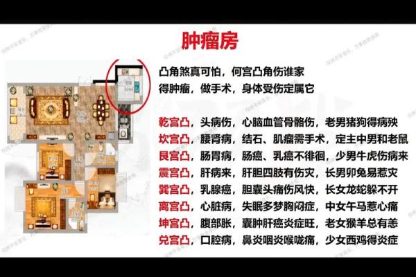 家庭风水布局：如何通过摆设改善运势